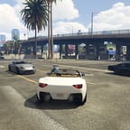 Anfitrión Entusiasta