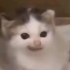 ヒムラー