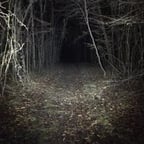 Voz Apasionada y Clara