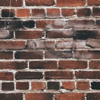 周涛（纪录片中国）