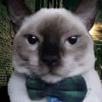 クリアな女性合成