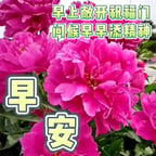 白岩松音频11-27-3