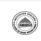 Voix Masculine Dynamique