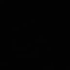 Animated Young Female