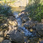 Animated Storyteller