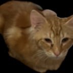 Lively Young Speaker