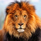 Aslan