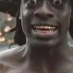 Levendige Nederlandse Stem