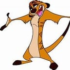 timon 2