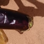 فارس ماين كرافت