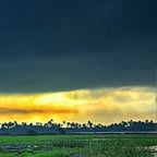 Calm Reflective Male