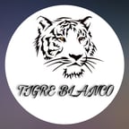 Tigre blanco