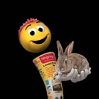 hh (HHGregg)