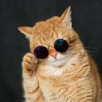 Vriendelike Verteller