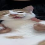 日语说中文甜美