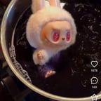 小红书最最最新