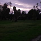 Voz Inmobiliaria Serena