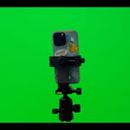 Direct Authoritative Male