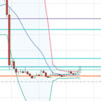 Friendly Fashion Voice