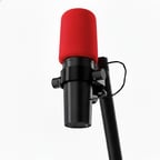 wining game street figther