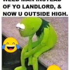 Energetic Jamaican Narrator