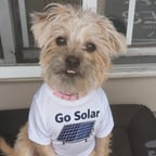 Luna - Storyteller girl