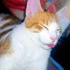 Voz Clara y Expresiva