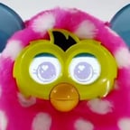 Sweet Furby