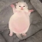 David Hyde Pierce/Drix's voice actor ^^