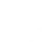 Lively Conversational Voice