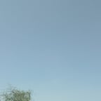 فهد بن جعموم