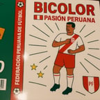 Daniela Quispe Hidalgo 