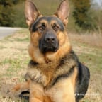 Friendly Conversational Female