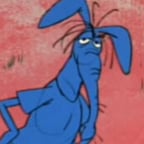 Oso Hormiguero (Javier Rivero)