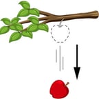 Voz Femenina Amigable