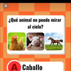 墨西哥问答555555555555