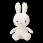 Animated Character Voice