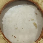 Voz Portuguesa Empática