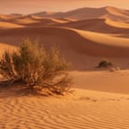 Reflective Male Narrator