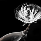 Voz Dramática Masculina