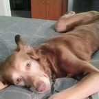 Narratore Drammatico Intenso