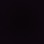 Sexy Little Minx Coat You -- Playful Charmer