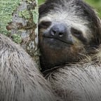 Dramatische Erzählerin