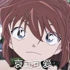 灰原哀（中文版）