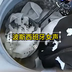 波斯西班牙女声