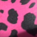 Casual Female Speaker