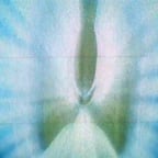 NET RENAULT TIM ITAIPAVA NIVEA SANTANDER (2019)