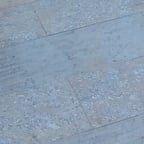 Marathi Playful Voice