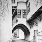 ابو حيدر العولقي