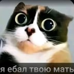 Voz Conversacional Masculina